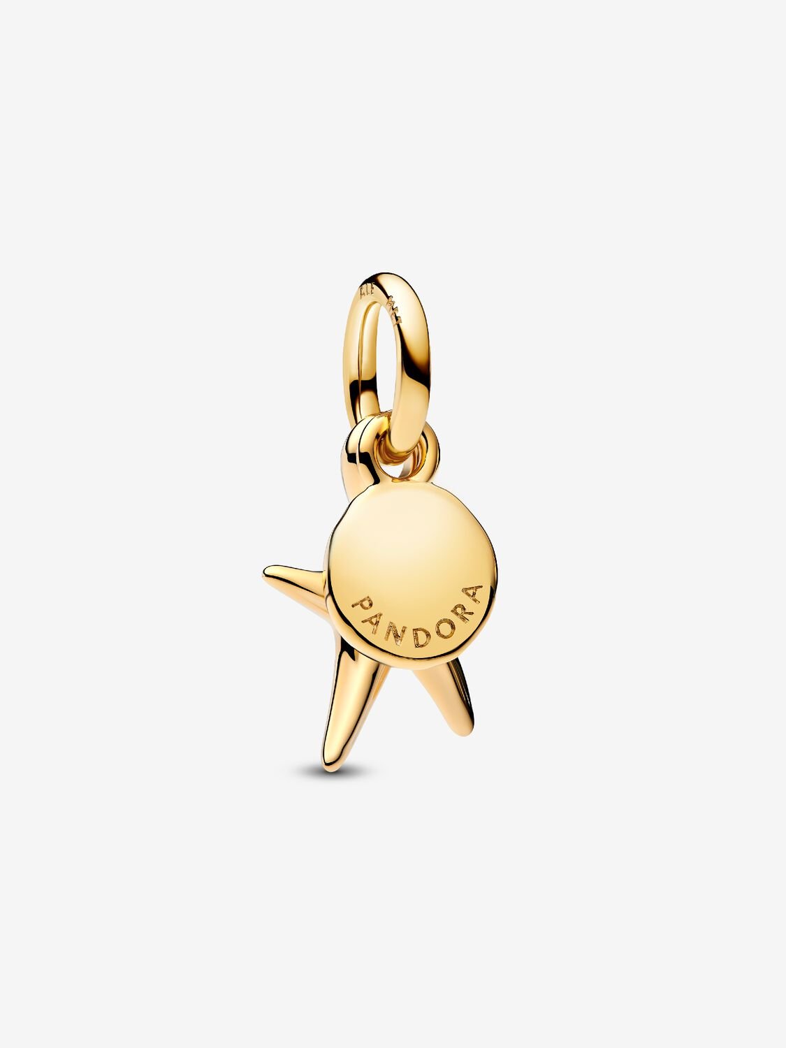 Starfish Double Dangle Charm