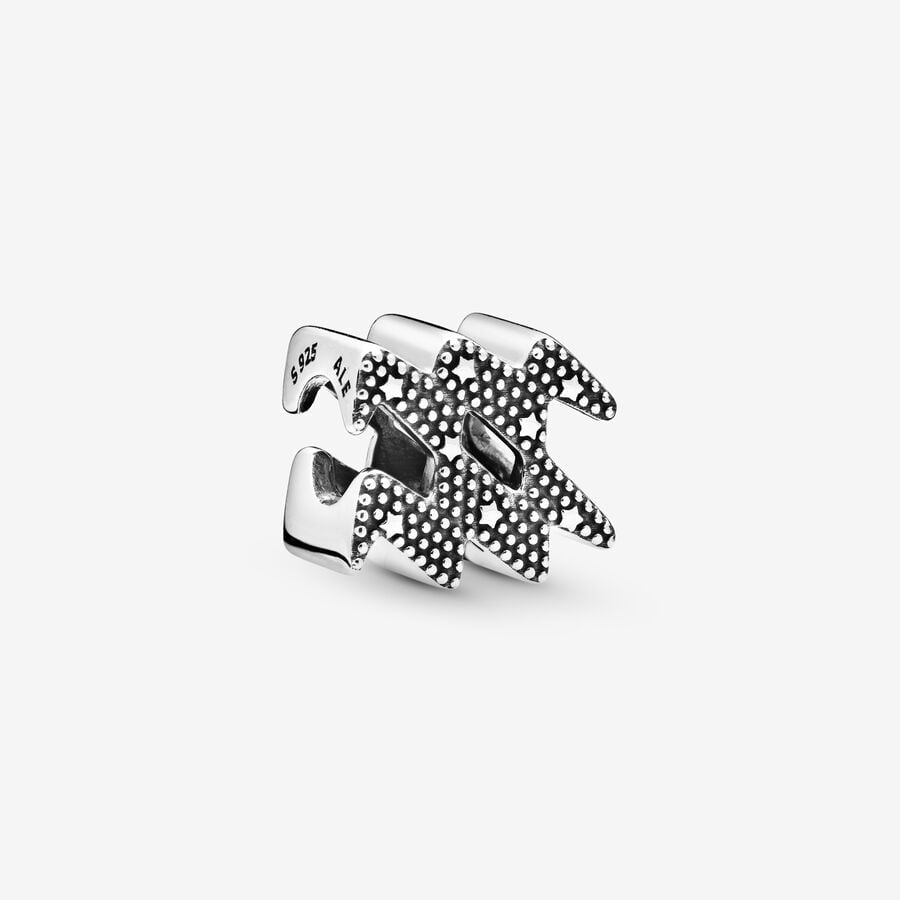 Sparkling Aquarius Zodiac Charm