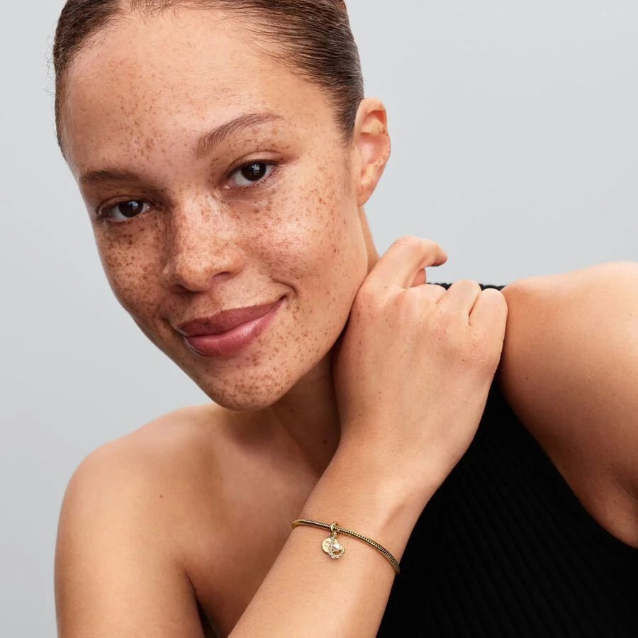 Pandora Hook Double Dangle Charm