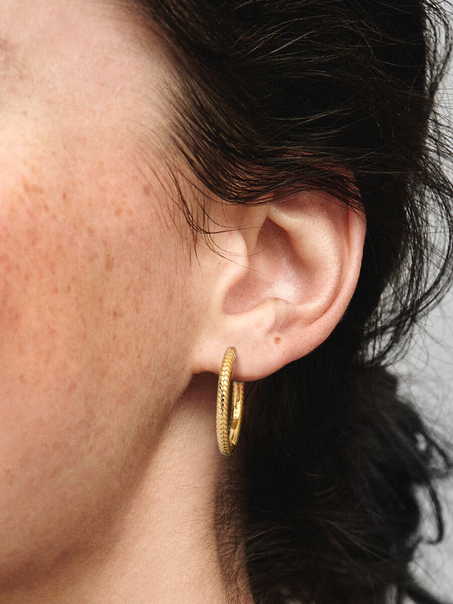 Pandora Moments Charm Hoop Earrings