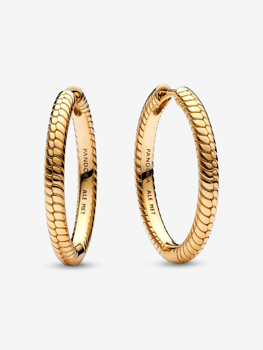 Pandora Moments Charm Hoop Earrings