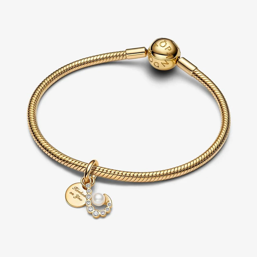 Pandora Hook Double Dangle Charm