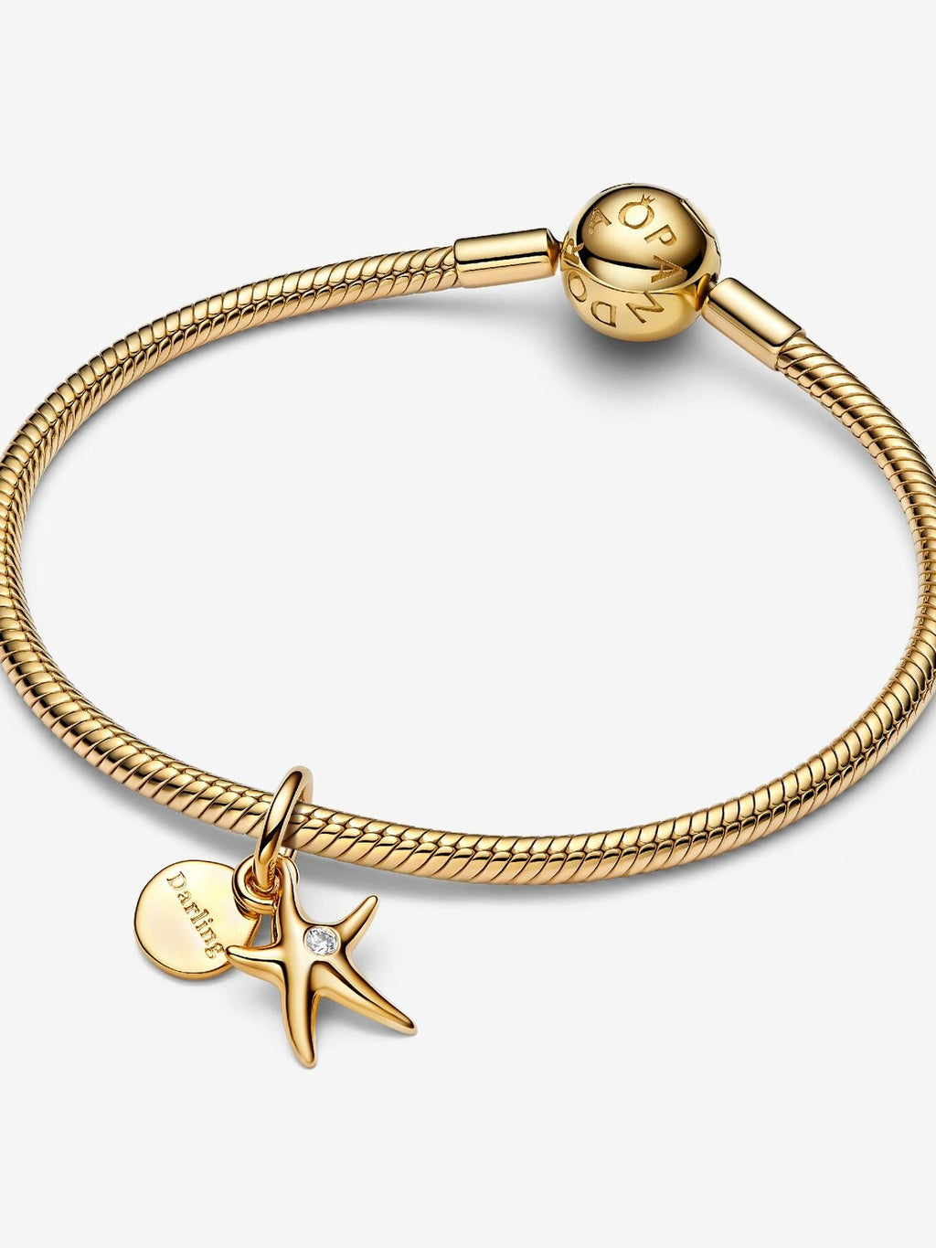 Starfish Double Dangle Charm