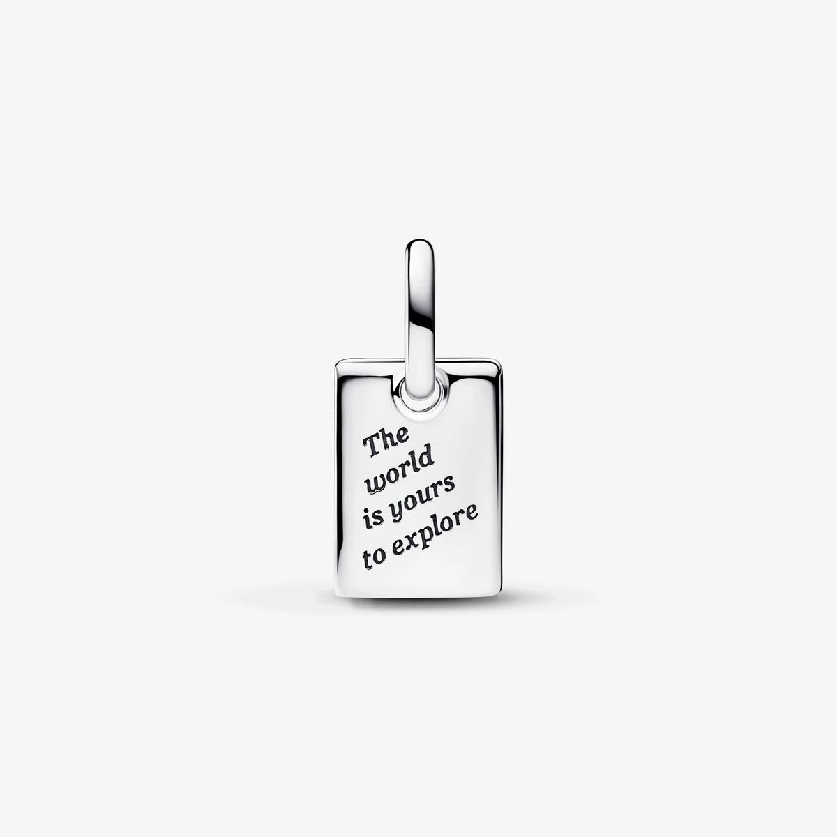 Travel Dangle Charm 793913C01 /2025 D