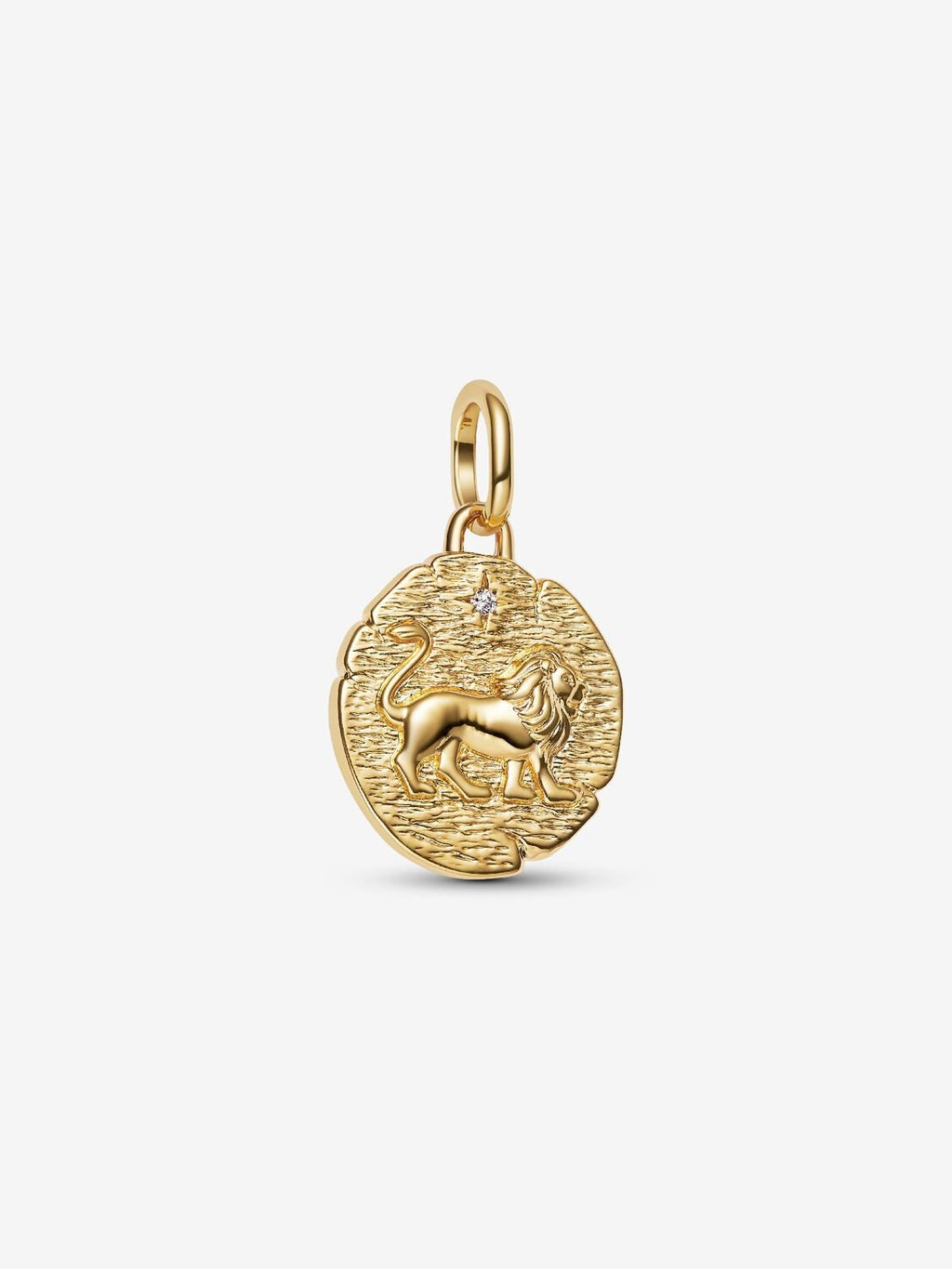 Lion Medallion Charm