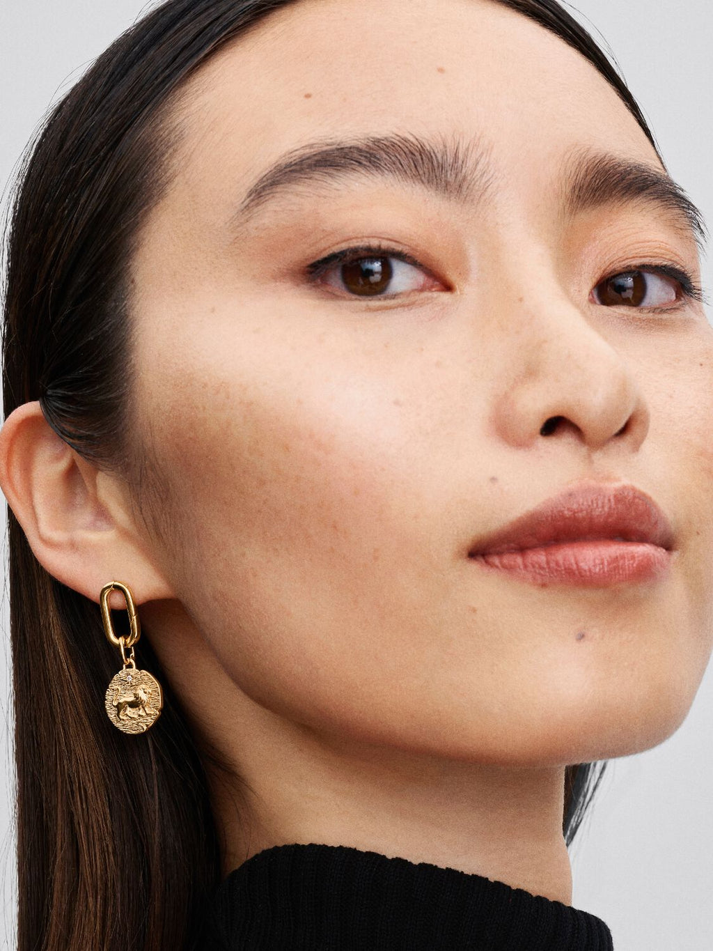 Lion Medallion Charm