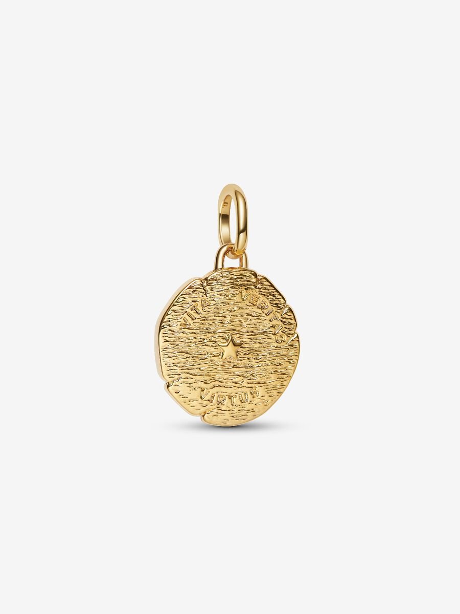 Lion Medallion Charm
