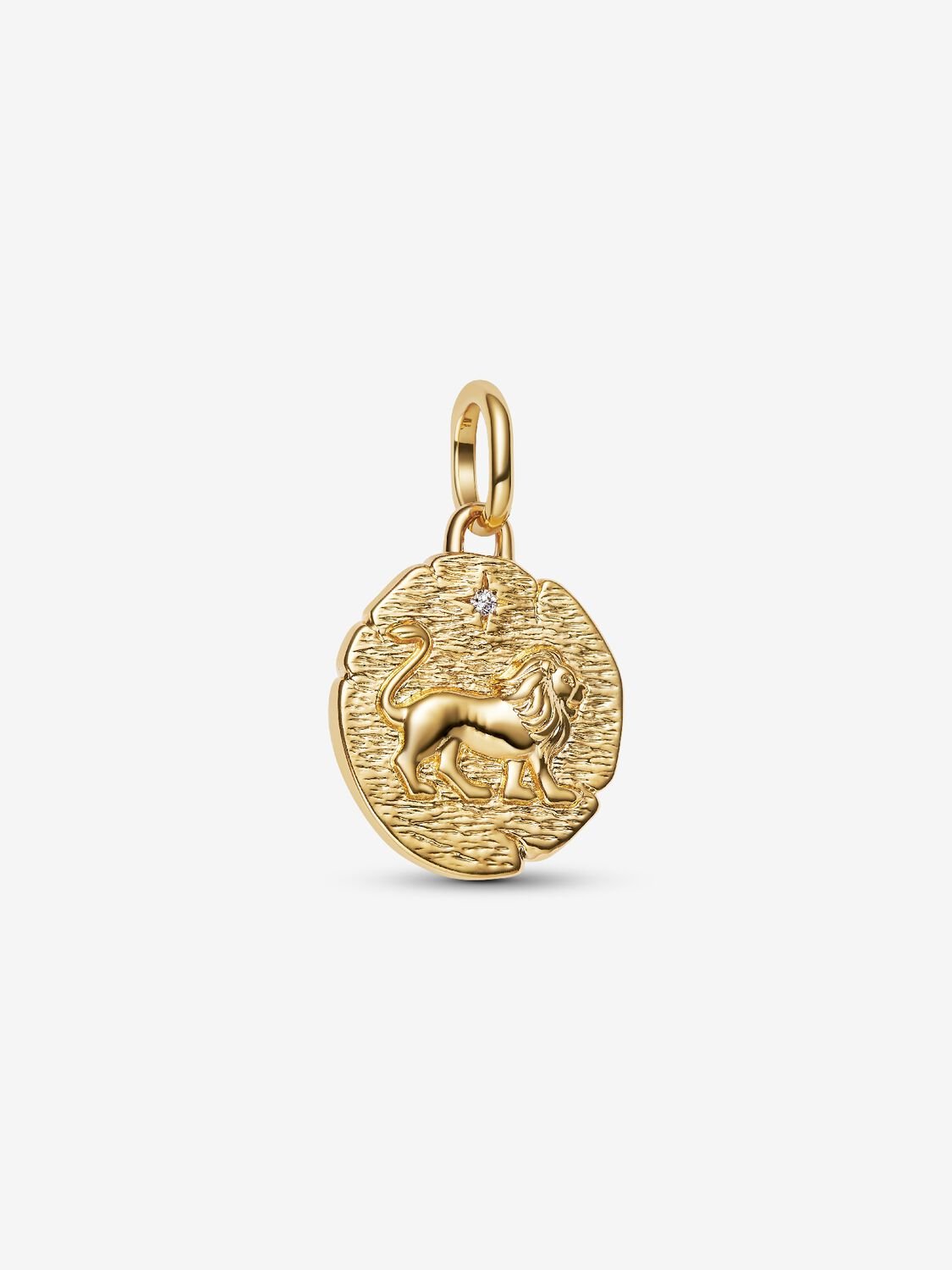 Lion Medallion Charm - Pandora West Africa Charms   