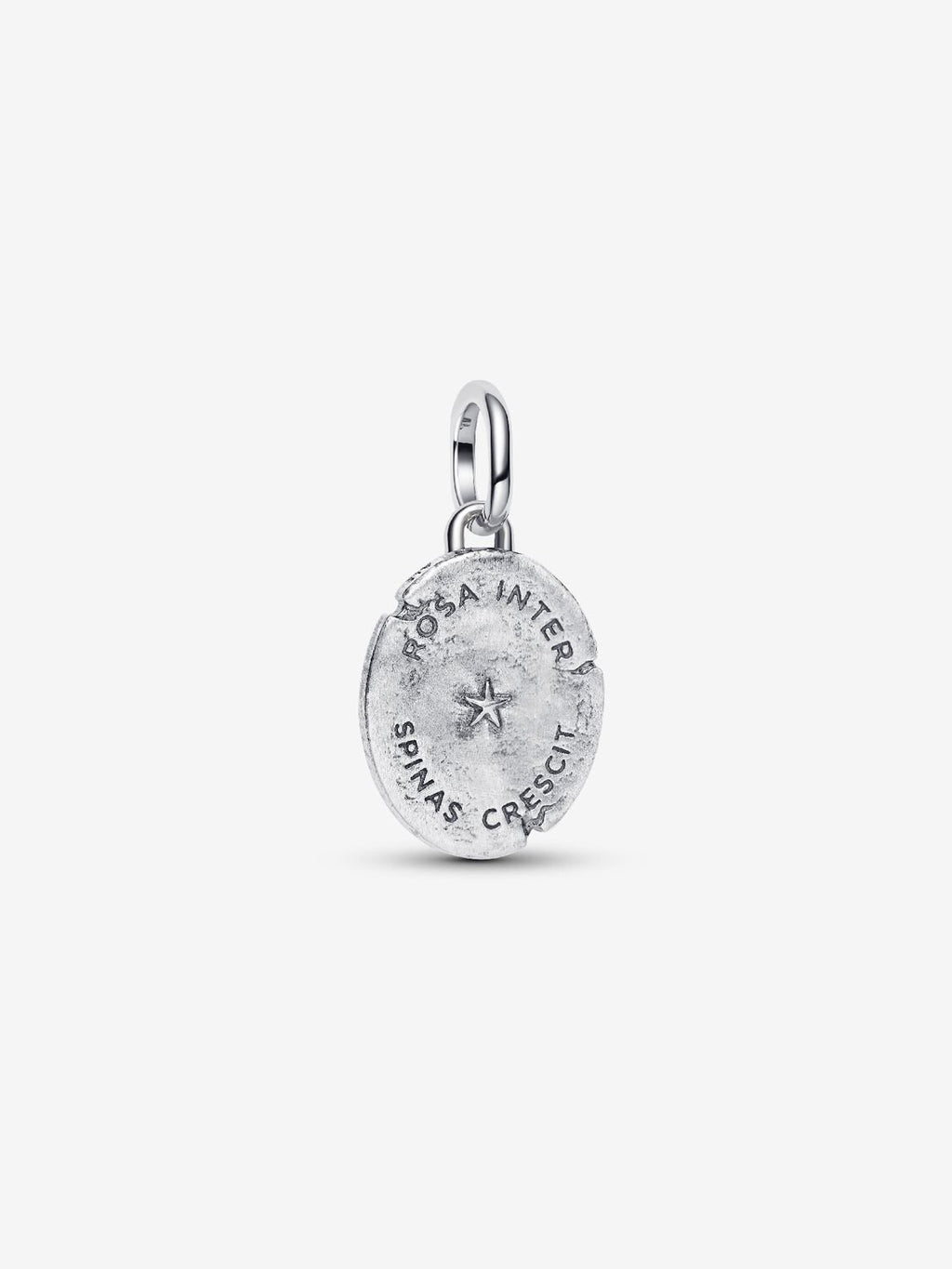 Rose Medallion Charm - Pandora West Africa Charms   